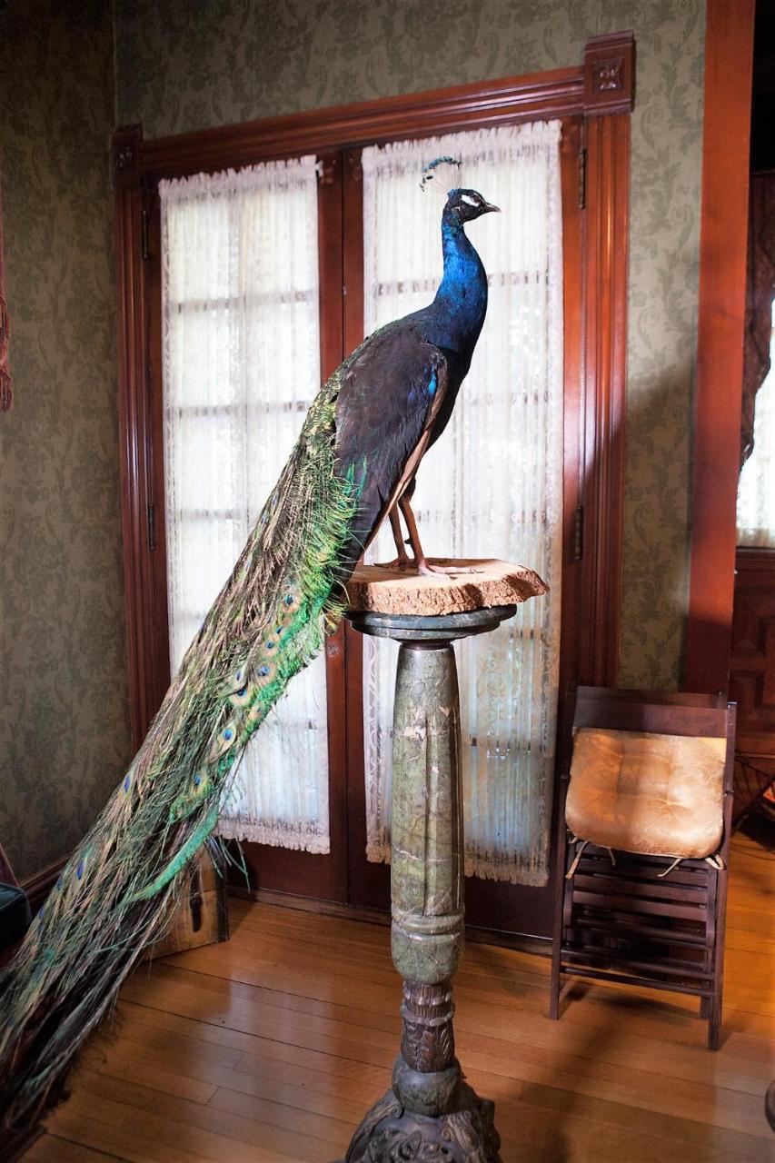 Alexander Mansion Bed & Breakfast Winona Dış mekan fotoğraf